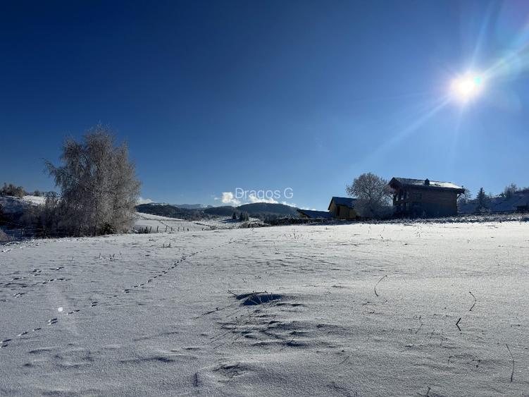 Teren satul Sirnea, intravilan, deschidere 120 m la drum asfaltat,  - 10