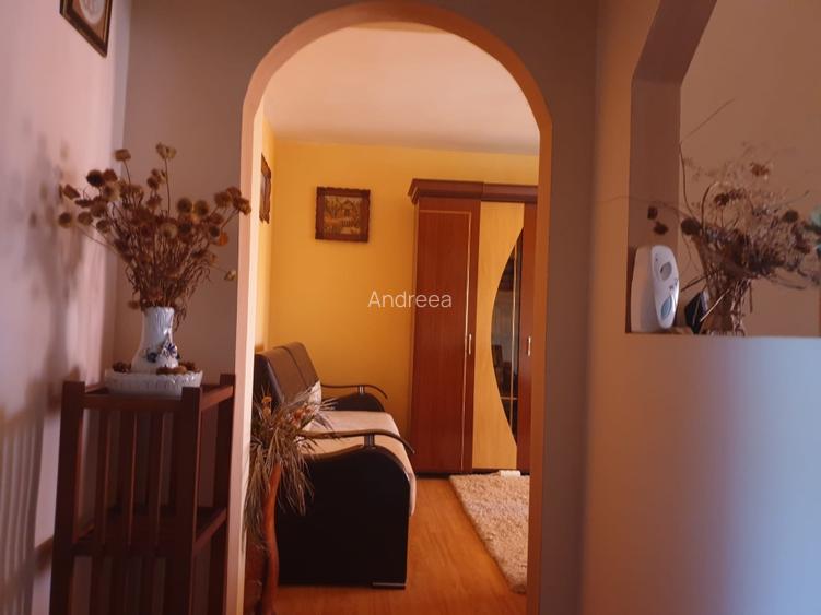 Apartament 3 camere Bala Băi, Mehedinți  - 4