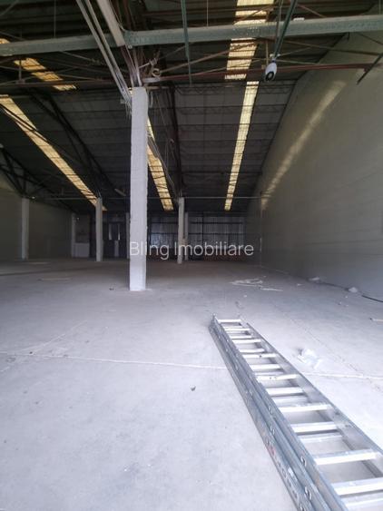Hala de inchiriat 400MP  - 4