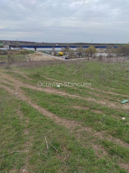 Teren de vanzare intravilan in Branesti IF - 4