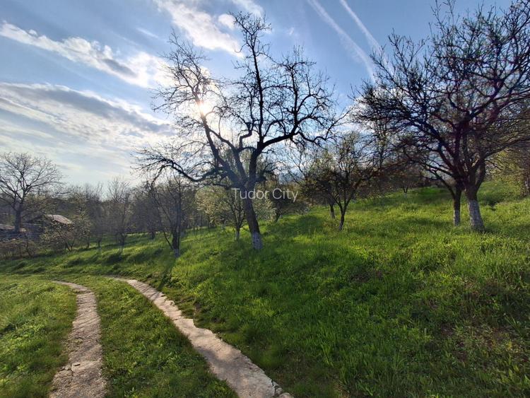 Moșia cu casa în vârf de deal, Scorțeni - Prahova, comision 0% - 2