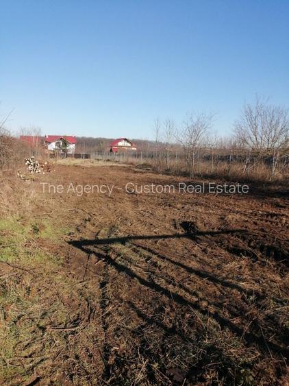 Teren constructie casa -1000 mp - Snagov, Strada Tudor Vladimirescu - 6