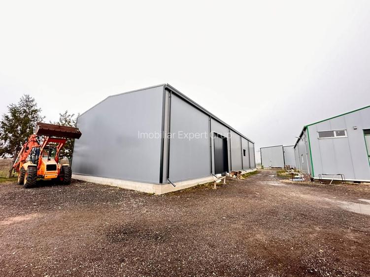 Hala (depozit) si birouri, zona Theodor Pallady, A2 - 8