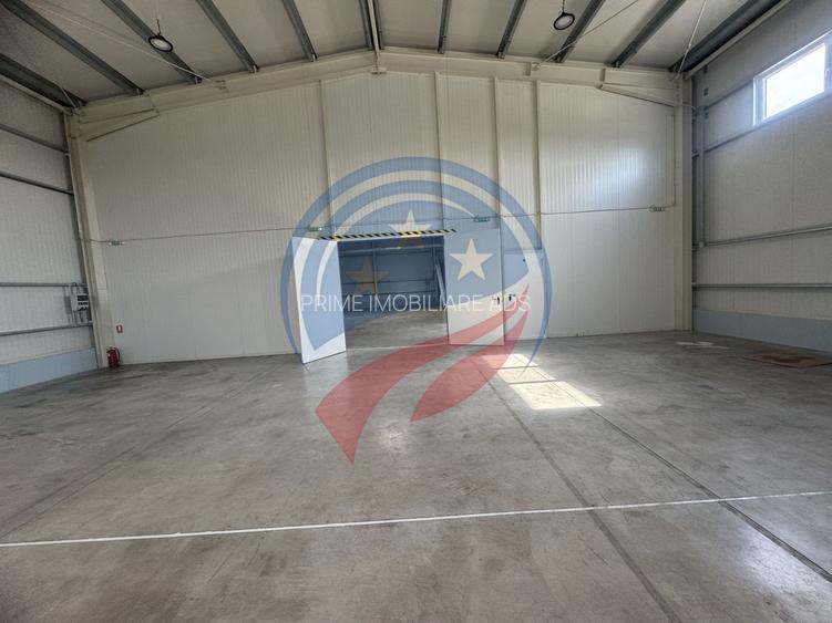 Hala in zona FORD 300-600 mp - 4