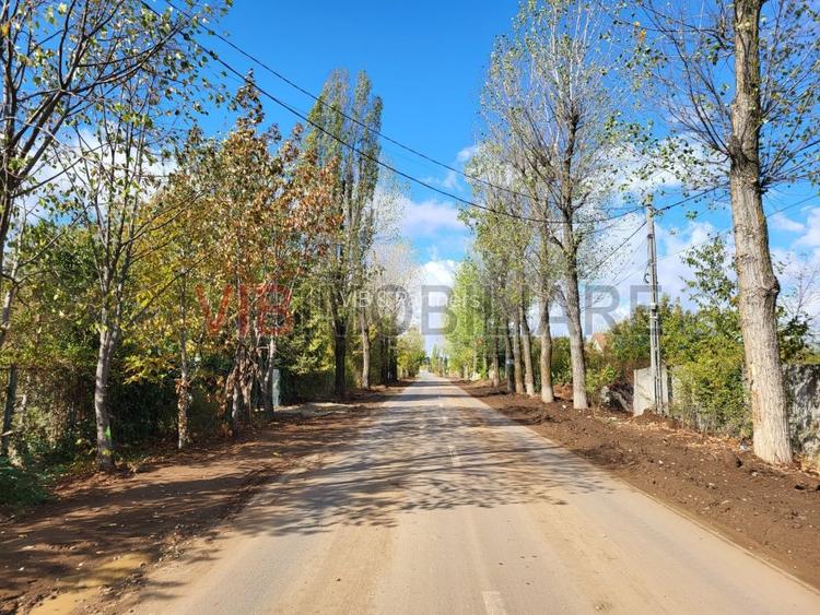 Ciolpani Izvorani cu deschidere la asfalt si toate utilitatile - 2