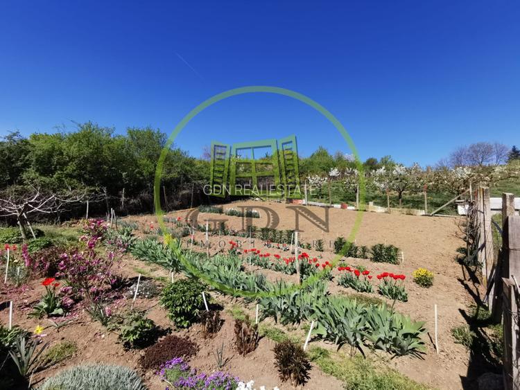 Teren intravilan si extravilan cu anexa gospodareasca amenajata, cu utilitati - 2