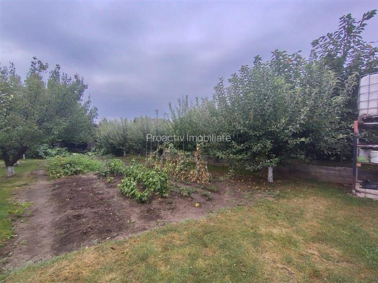 Casa individuala | Moara | C-3995 - 19