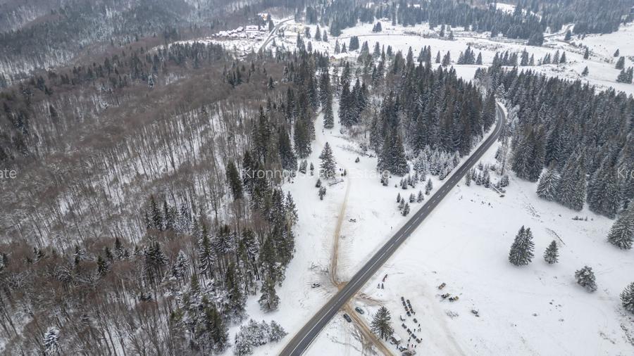 Teren premium pentru dezvoltare de lux – Drumul Poienii, Brasov - 24