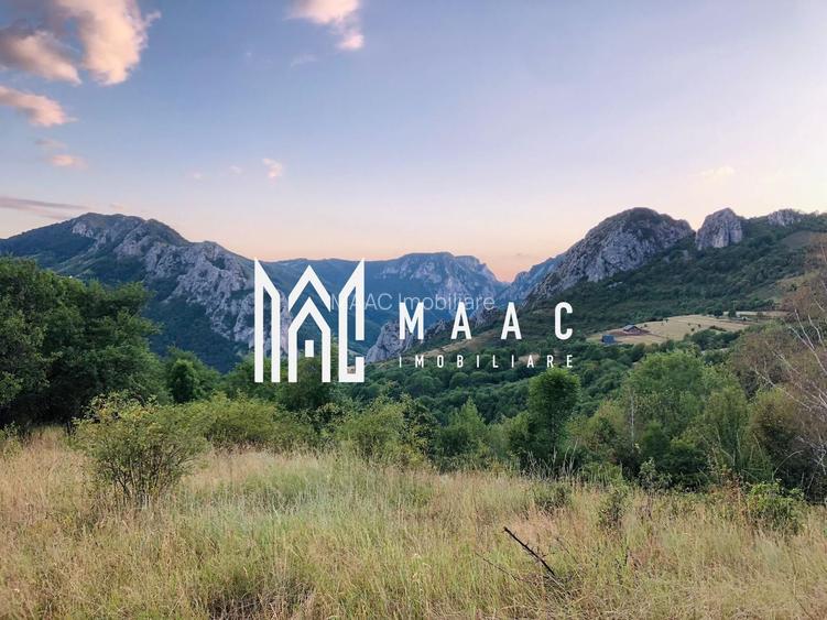 Teren Extravilan | 3200Mp | Potențial Turistic | TransApuseana - 2