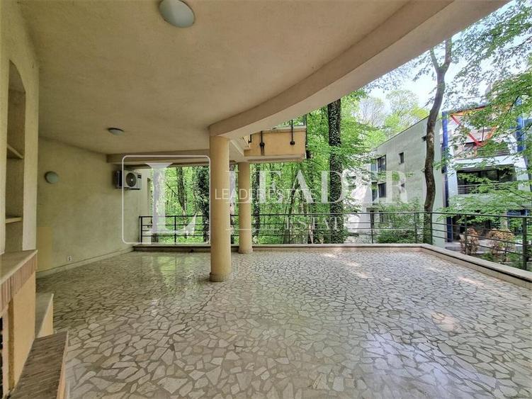 Traieste in Padurea Baneasa I 4cam I 338 MP - 18