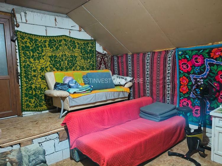 Casa in cartierul Nufarul - 11