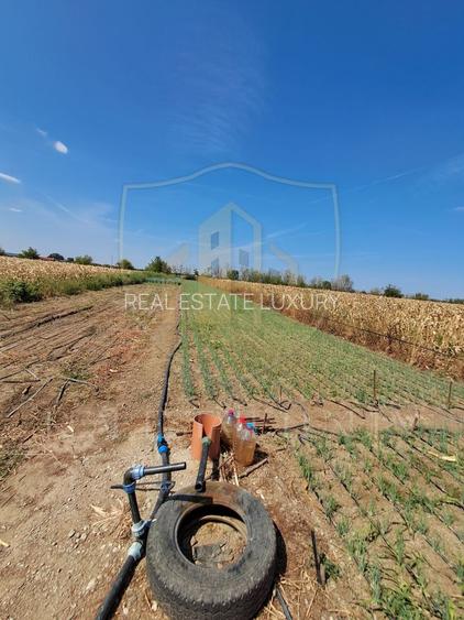 0% COMISION TEREN DE VÂNZARE DE 2470 MP CU POTENȚIAL DE INVESTIȚIE - 3