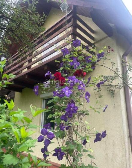 Teren intravilan, 4500 mp, casa de vacanta, in Baciu, zona Sun Garden - 4