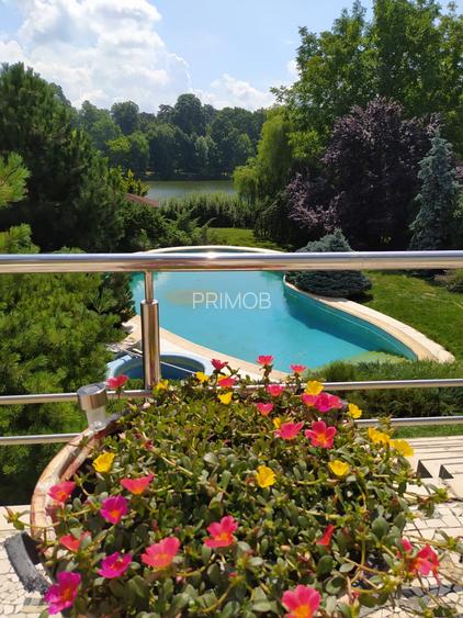 Mogosoaia vila robusta cu view unic catre palat si parc,ponton pe lac,dendrariu - 9