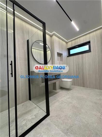 Vanzare casa superba Tunari - 26