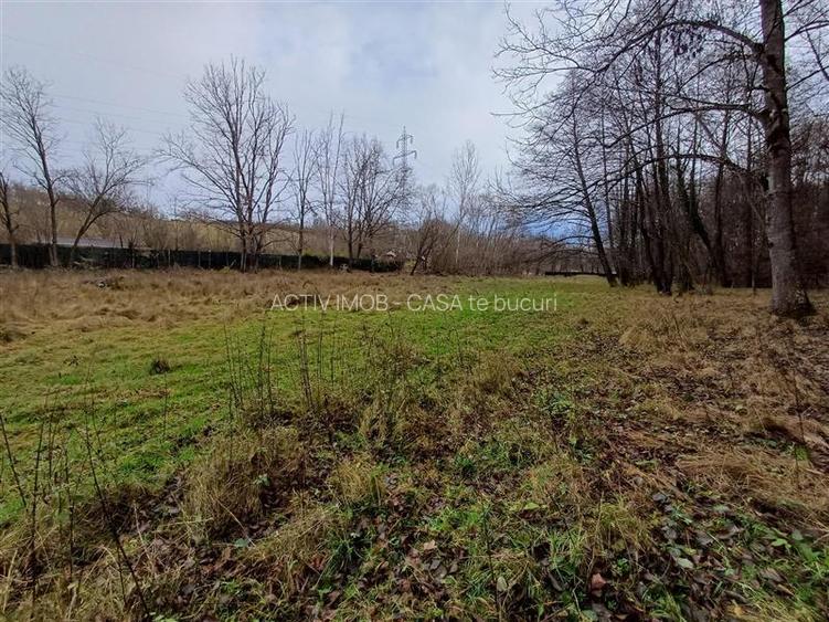 Resita, Teren Drept Intravilan, Langa Prau si Drum, Parcelabil, 4500 Mp., 15 Eur - 6