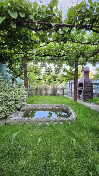 Casa individuala 144 mp utili garaj subteran pivnita si curte Turnisor - 3