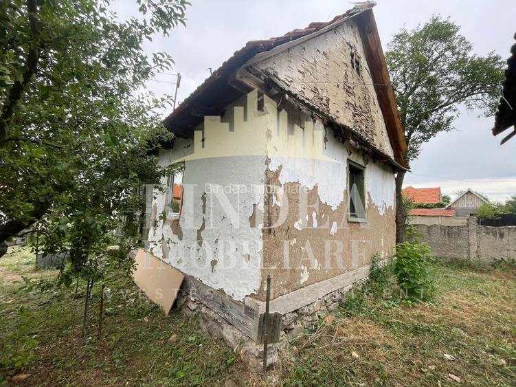 Casa Babsa, comuna Balint 2084mp teren - 12