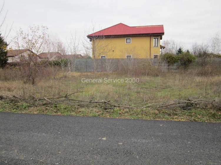 Drumul Targului-Stelelor - 4