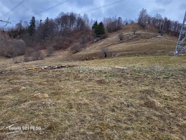 Teren, Zona de Interes Turistic-Cheile Gradistei,  8800mp - 7