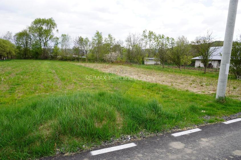 Teren Intravilan de 2.216 mp în Sarasău - 8