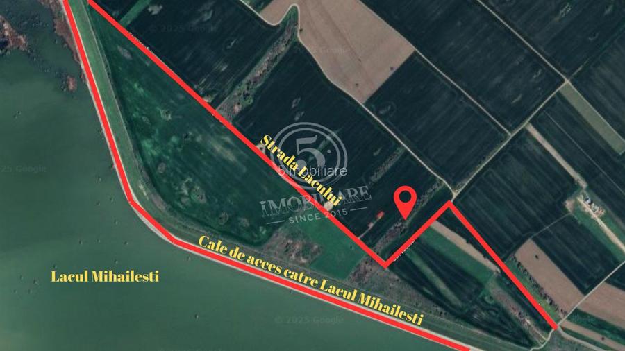 Teren intravilan, Cornetu, Ilfov – 5.590 mp - 3