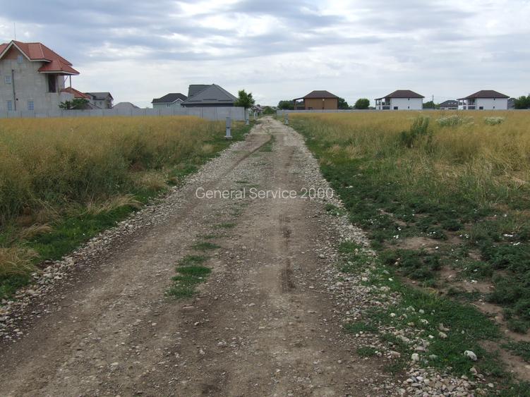 Domnesti-Afinului, teren  4394 mp - 6