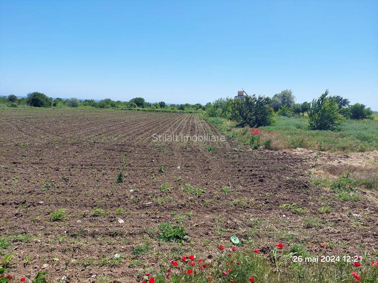 Teren  intravilan  540 mp / Vama Veche - 3