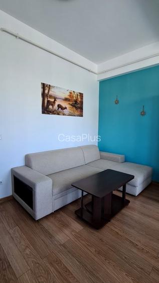 Apartament de inchiriat Tatarasi 500 euro - 11