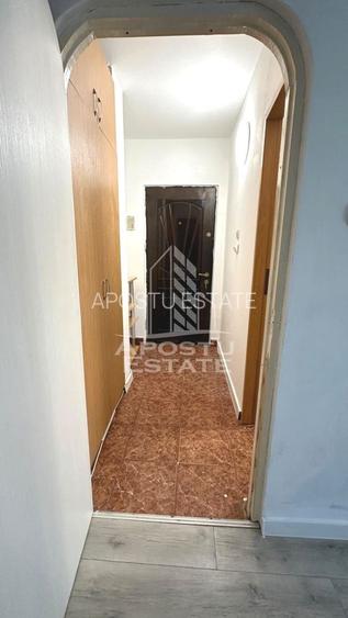 Apartament cu 1 camera, etaj intermediar, zona Lipovei, Timisoara - 9