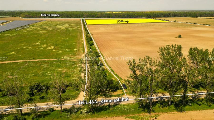 Teren intravilan 5700 mp Răcari lângă Pădurea Măriuța - oportunitate investiție - 3