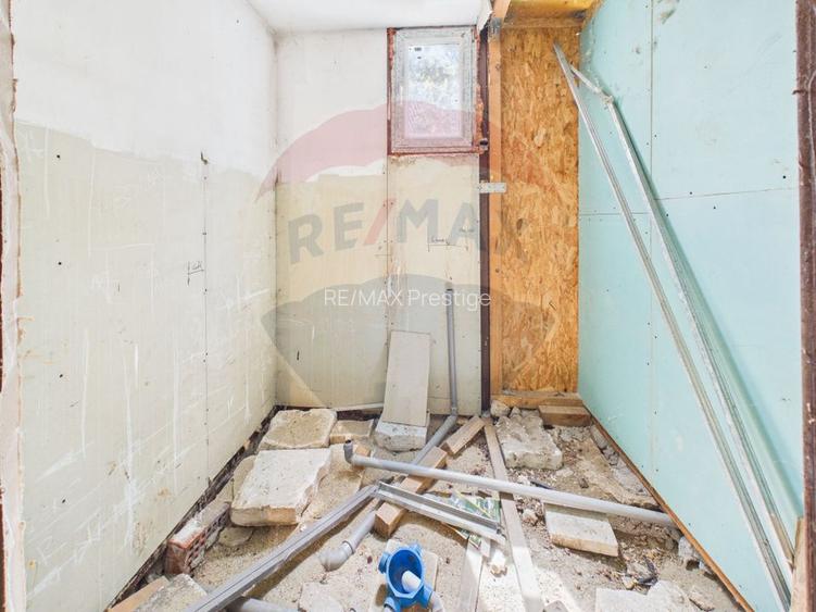 Casă 65 mp + teren 4000 mp, livadă, Butimanu - 16