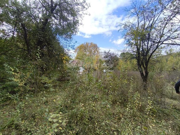 TEREN INTRAVILAN// CORNU DE JOS - 2