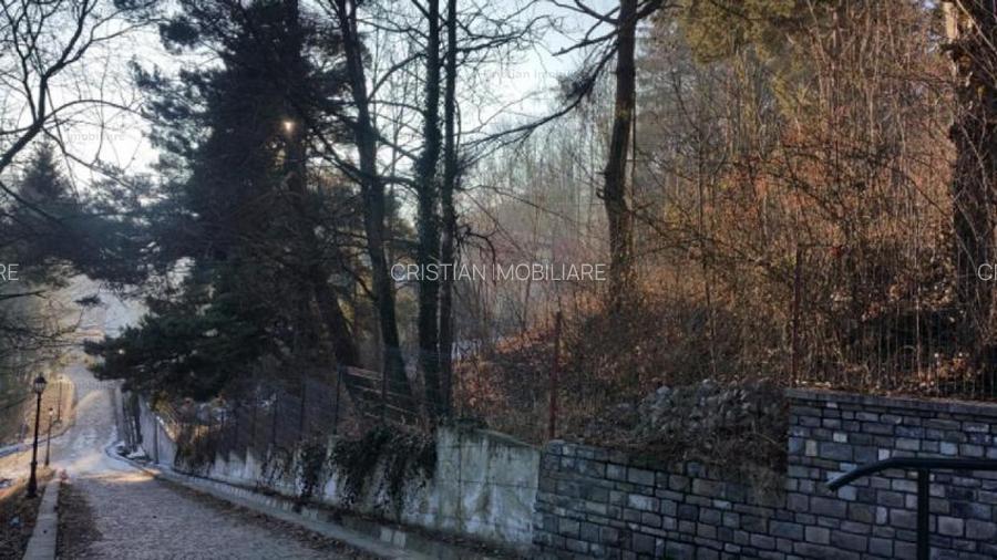 Teren 1925 mp, POT 40%, CUT 1,5-1,8, LANGA TELECABINA SINAIA - 9