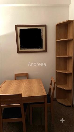 Cartierul Primăverii- Apartament de 3 camere  - 10