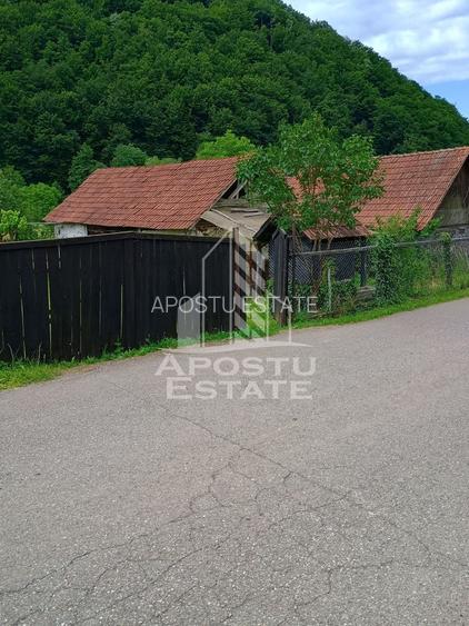 Casa batraneasca de vanzare, 4 camere, in Hunedoara, sat Micanesti - 25
