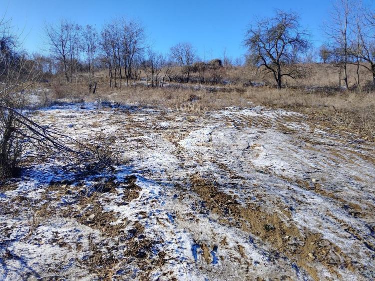 Teren intravilan 1425 mp-pretabil casa P+2E-Zona Drumul Tarpiului - 7