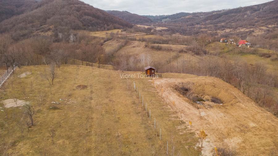 Teren cu suprafața de 5100mp amplasat într-o zonă superbă de munte - 3