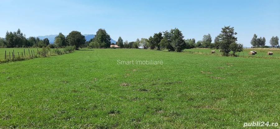 Teren 9350 mp Bran Livada, Extravilan - 5