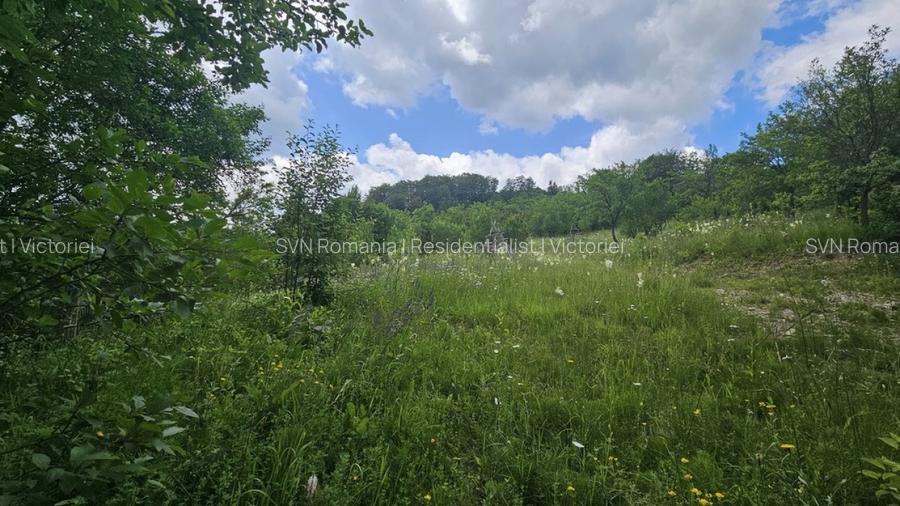 REL4001143 Teren de vanzare in Valea Doftanei - 3
