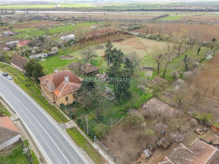 Conac aristocratic secolul XIX , domeniu  2,5 hectare — Păuliș, Arad - 4