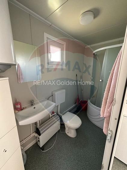 Ferma porcine la cheie - 17