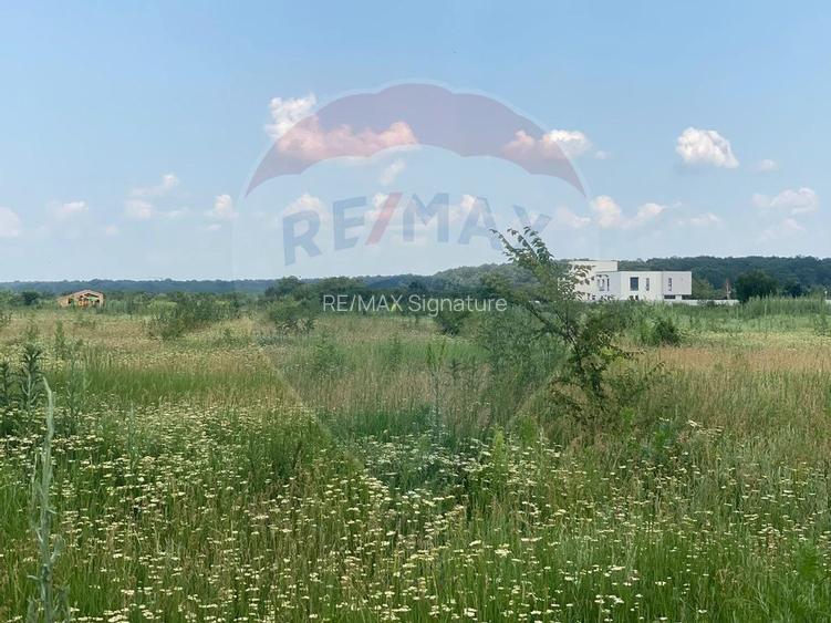 DE VANZARE Teren intravilan 600mp Drumul Piscul Mosului SISESTI - 10