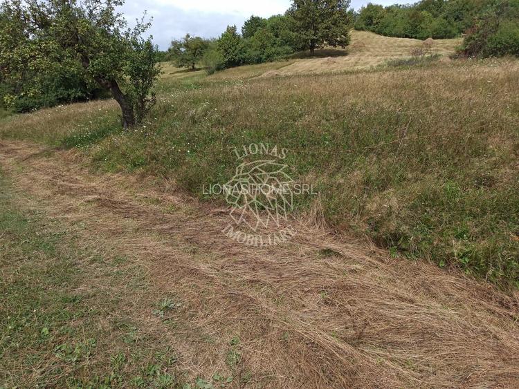 Teren 5200 mp-ideal cabane, case de vacante, agricultura-Livezile - 3