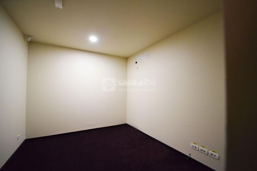 Alexandru cel Bun, spatiu excelent pozitionat, S+P, 800mp construiti - 13