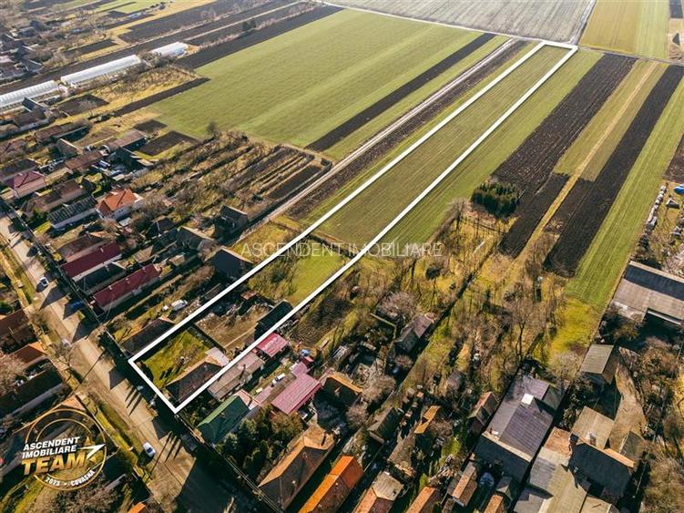 FILM! Casa traditionala, pe domeniu pretios, de 7.608 mp, Cernat, Covasna - 39