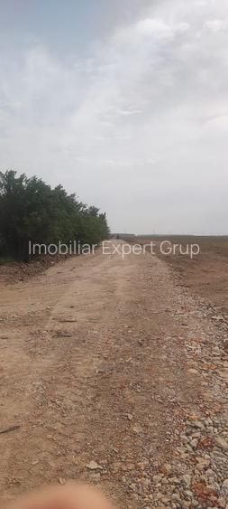 OCAZIE UNICA TEREN IEFTIN-PUZ INDUSTRIAL CERNICA, PALLADY - 3