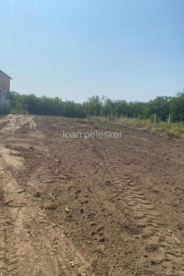 Teren Vetiș - cu toate utilitățile  - 2