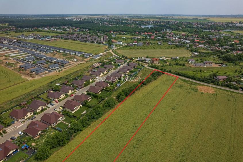 Teren intravilan, Balotești, Strada Cameliei 36, 10.000 mp - 5