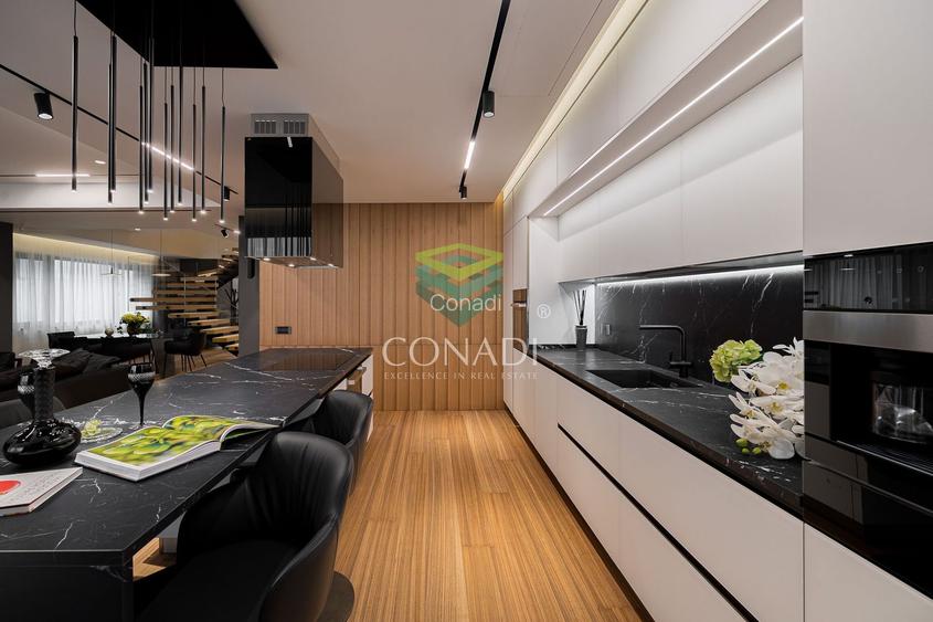 Penthhouse Primaverii | Vedere panoramica | Garaj | Vinoteca - 10